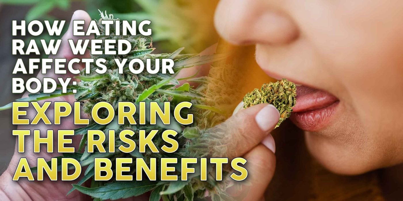 How Eating Raw Weed Affects Your Body: Exploring the Risks and Benefits ...