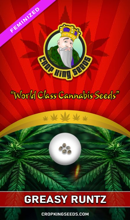 Buy Greasy Runtz Strain Feminized Marijuana Seeds | Crop King Seeds