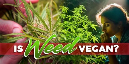 Is Weed Vegan?