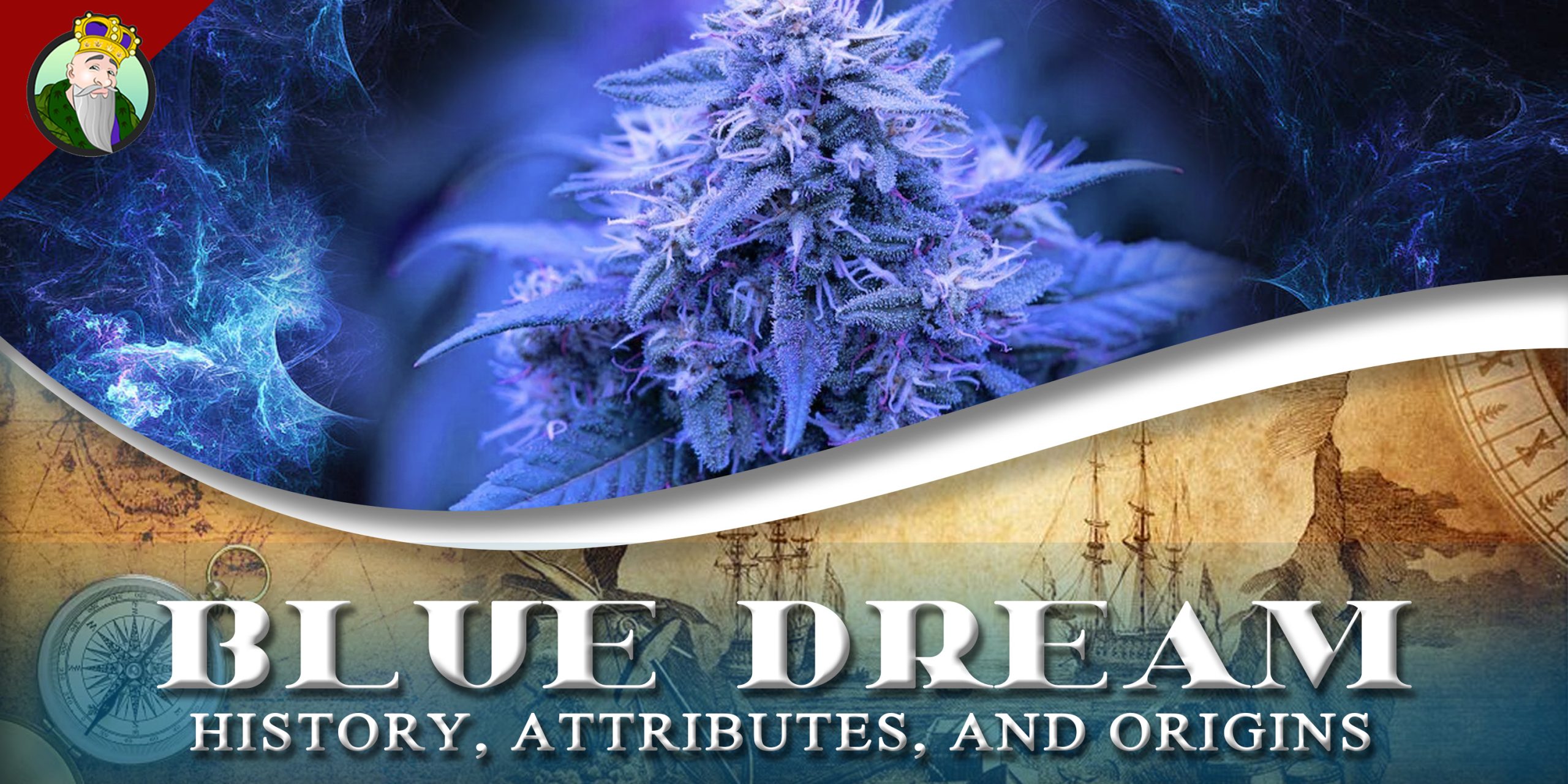 Blue Dream Genetics