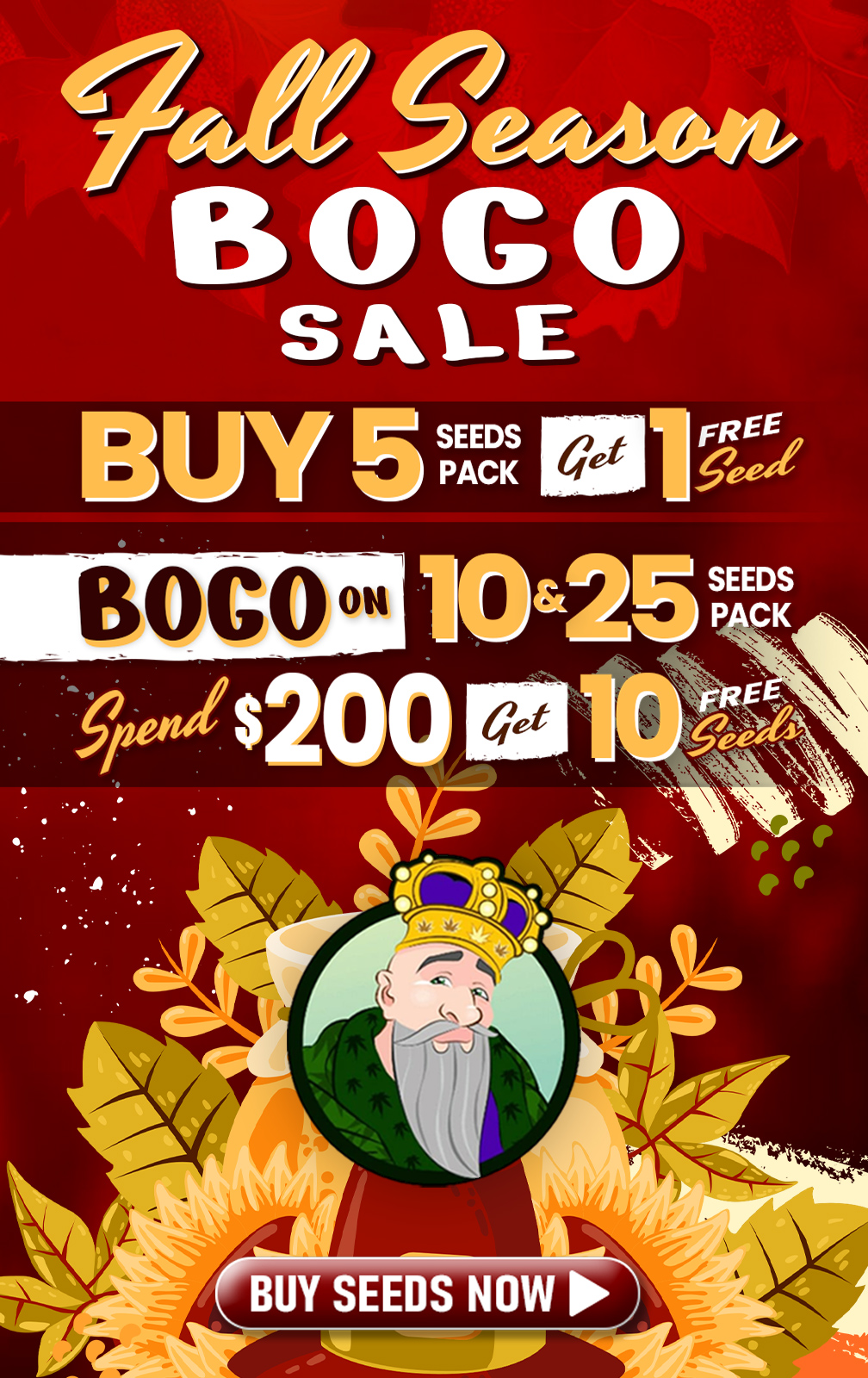 Autumn Sale