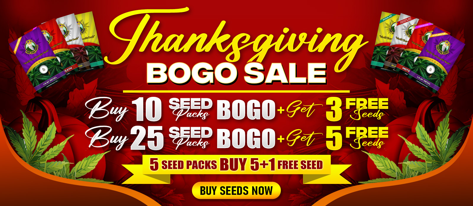 Thanksgiving Promo