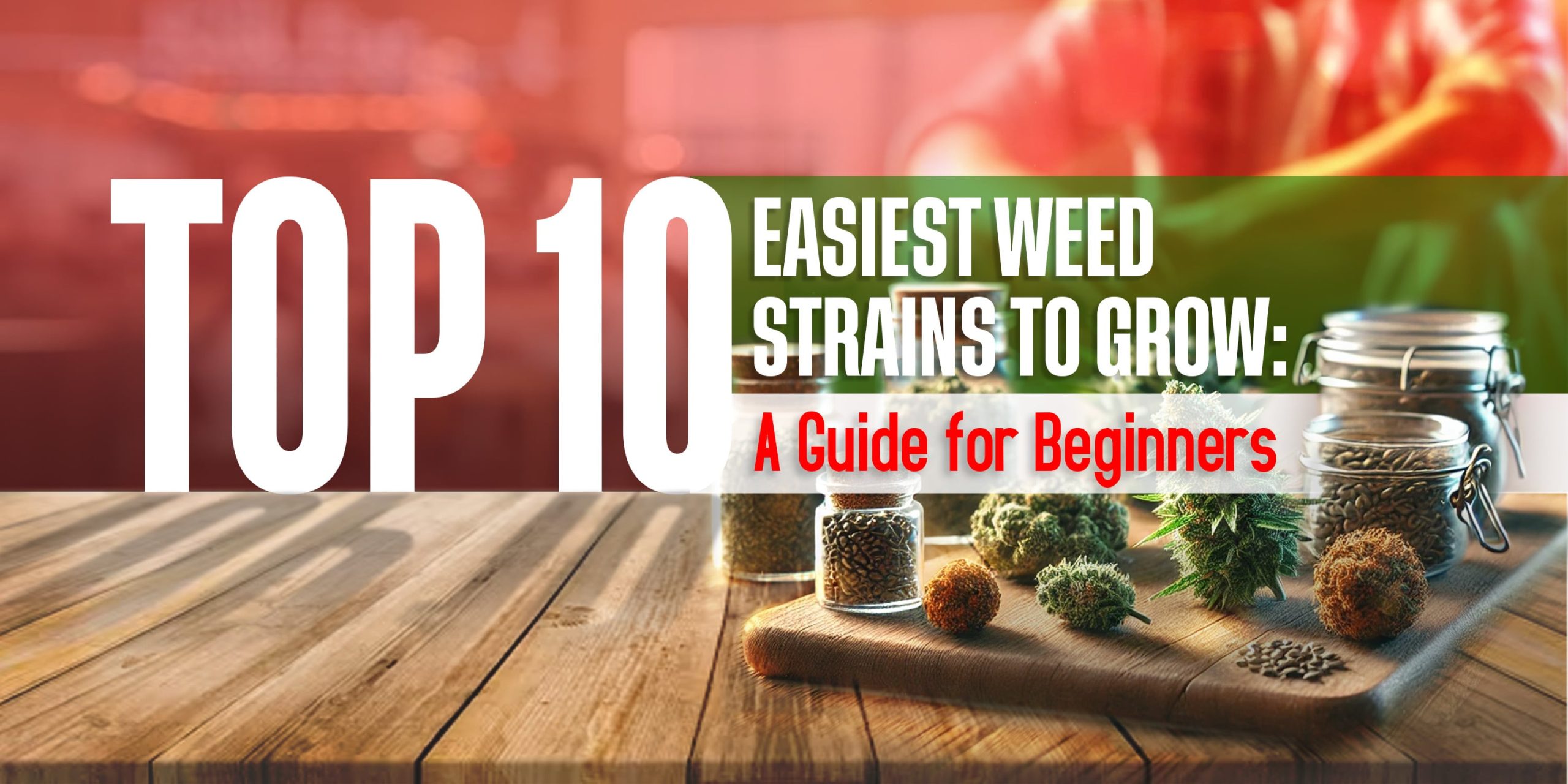 Easiest Weed Strains to Grow