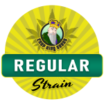 Regular Marijuana Seeds